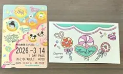 ディズニー　パルパルーザ　ヴァネロペ　使い済みリゾートライン切符➕カード