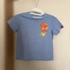 THE NORTH FACE 鳥イラスト Tシャツ