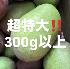宮古島産 特大摘果マンゴー9.8kg - メルカリ
