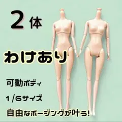 2026年最新】球体関節人形 1/6の人気アイテム - メルカリ
