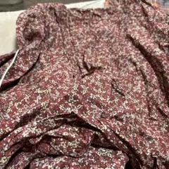 Item thumbnail for item 87dd481f-febf-44be-abf1-f092607d9ee8