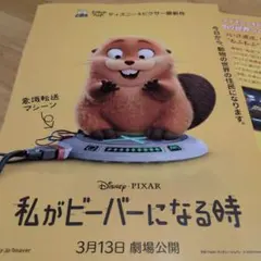 私がビーバーになる時 フライヤー