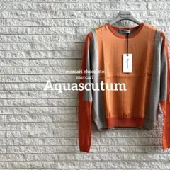 Aquascutum 長袖ニット　S トップス　オレンジ×グレー　レディースのサムネイル
