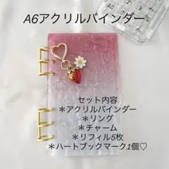 アクリルバインダー♡水流模様 A6韓国 バインダー貯金 savingいちごRed