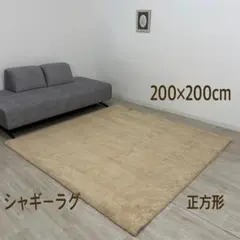 2026年最新】ラグ モリヨシ moriyoshiの人気アイテム - メルカリ