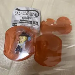 ワンピの実　第十四海戦　キャベンディッシュ カプセル付き
