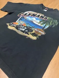 USA製 ハーレーダビッドソン Tシャツ デカロゴ アメカジ L 黒 ブラックのサムネイル