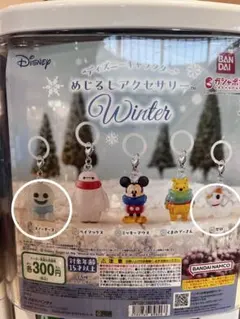 ディズニーキャラクター　めじるしアクセサリー　Winter