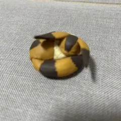 娜烏西卡 提托 模型