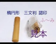 Item thumbnail for item 44a99eeb-17d6-49b8-bcec-009c39d59eb0