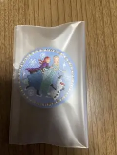 ディズニー　刺繍缶バッチ　アナと雪の女王