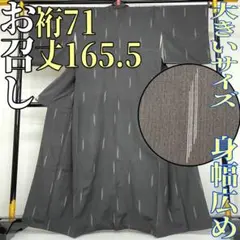 Hisa様専用です❣️ 【着物と帯 時流】ツ25173◆お召しの着物