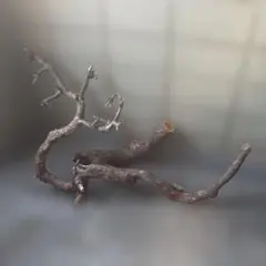 ④流木 超巨大 特大 赤松 生木 オブジェ インテリア - メルカリ