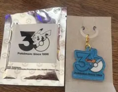 ポケモン Pok-Charm 30周年ロゴマスコット ミズゴロウ ポケチャーム