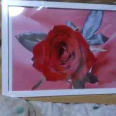 Item thumbnail for item 0119148a-54d3-4667-82d4-c9ea8d263ebb