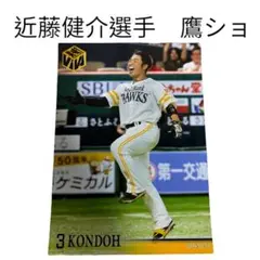 即購入⭕️ ソフトバンクホークス　近藤健介選手　鷹ショ