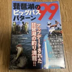 琵琶湖のビッグバスパターン99
