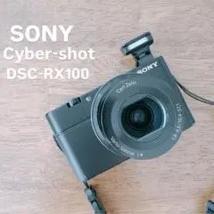 美品】Sony DSC-RX100 動作良好 FlashAir 16GB付き - メルカリ