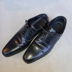 Item thumbnail for item 0cf6e1c1-1769-4aff-8c81-2f355ed3061f