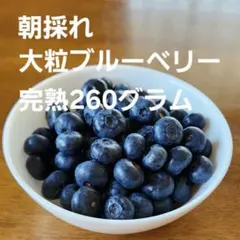 朝採れ大粒ブルーベリー　完熟　260グラム　無農薬のサムネイル