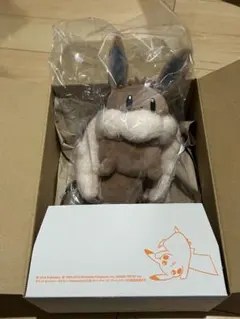 ポケモン　ボタンのイーブイリュック型ポーチ