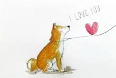 【Shiba-inu 柴犬-I LOVE YOU 】原画