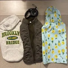 Item thumbnail for item 54ecfdb2-9447-4d3c-9aee-4439b8fbd302