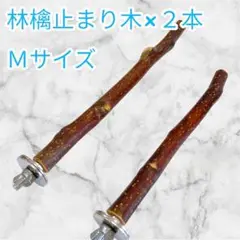 pino様 リクエスト 2点 まとめ商品