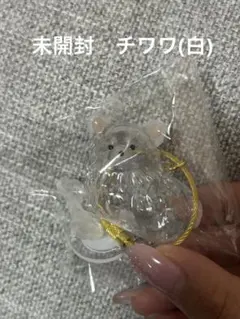 未開封⭐︎うちの子のけだまだま　チワワ(白)