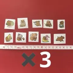 カピバライラストシールセット１０枚入り　3セット