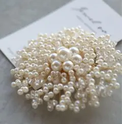 エレガントなパールブローチ