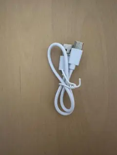 USB Type-C 充電ケーブル ホワイト 約15cm