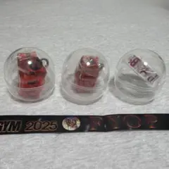 B'z FYOP 2025 ネックストラップ✖️2、マスキングテープ