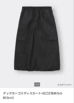 Item thumbnail for item 8117866d-414d-469d-9a84-9da6bb52f934