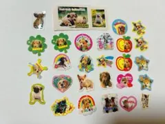 2026年最新】平成レトロフレークシール犬の人気アイテム - メルカリ