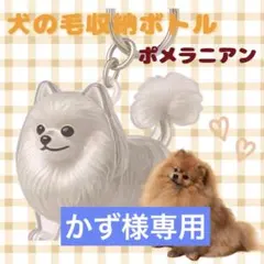 再入荷 ポメラニアン 愛犬 毛玉入れ 収納 キーホルダー けだまだま かわいい