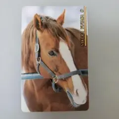 競馬カード　サクラユタカオー　非売品　ウエハース