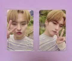 スキズ リノ トレカ STAY2期