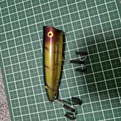 2026年最新】ヘドン チャガースプークの人気アイテム - メルカリ