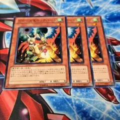 ドロール＆ロックバード
