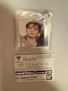 2025年最新】SEVENTEENウジの人気アイテム - メルカリ