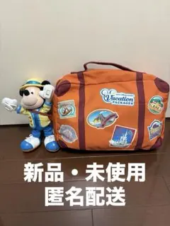 【新品・未使用】ディズニーバケーションパッケージ限定　ブランケット＆ぬいぐるみ