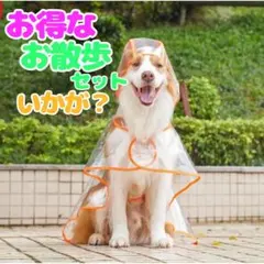 Item thumbnail for item f876bd1a-489e-4142-9af8-2e2afd06ab84