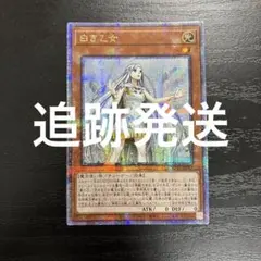 白き乙女 25th クォーターセンチュリーシークレット アジア版 白き乙女 25th クォーターセンチュリーシークレット アジア版 - メルカリ