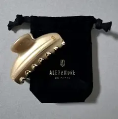 ALEXANDRE DE PARIS JAL機内販売ヘアクリップ 2個セット 未使用 アレクサンドル ドゥ パリ (JAL 国内線機内販売） - メルカリ