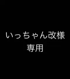 いっちゃん改様専用（ガンプラ製作依頼）