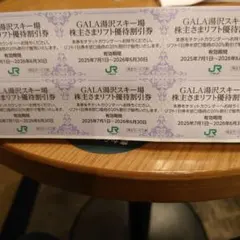 JR東日本株主優待　ガーラ湯沢スキー場　リフト優待割引券　6枚