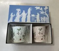 ウェッジウッド ワイルドストロベリー パステル マグ ペア