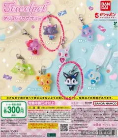 ジュエルペット めじるしアクセサリー2 ダイアナ ルーア セット