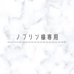 ✴︎ノブリン様専用✴︎